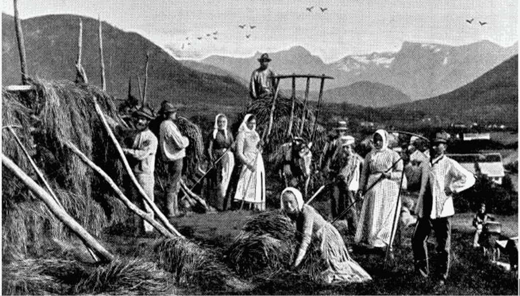 Historical oat farming in the Nordic region